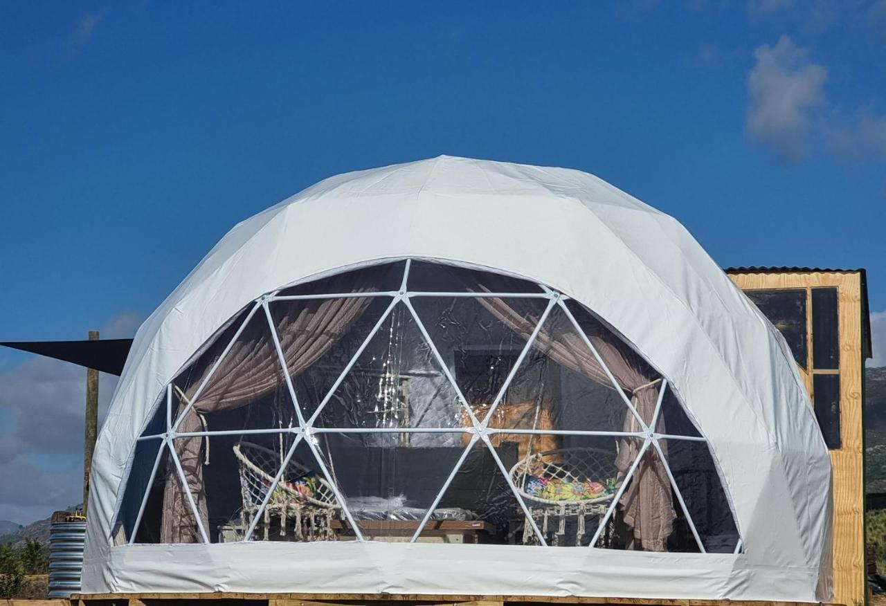 Hotel Pom Gratz - Ecodomes Hartebeesrivier Esterno foto
