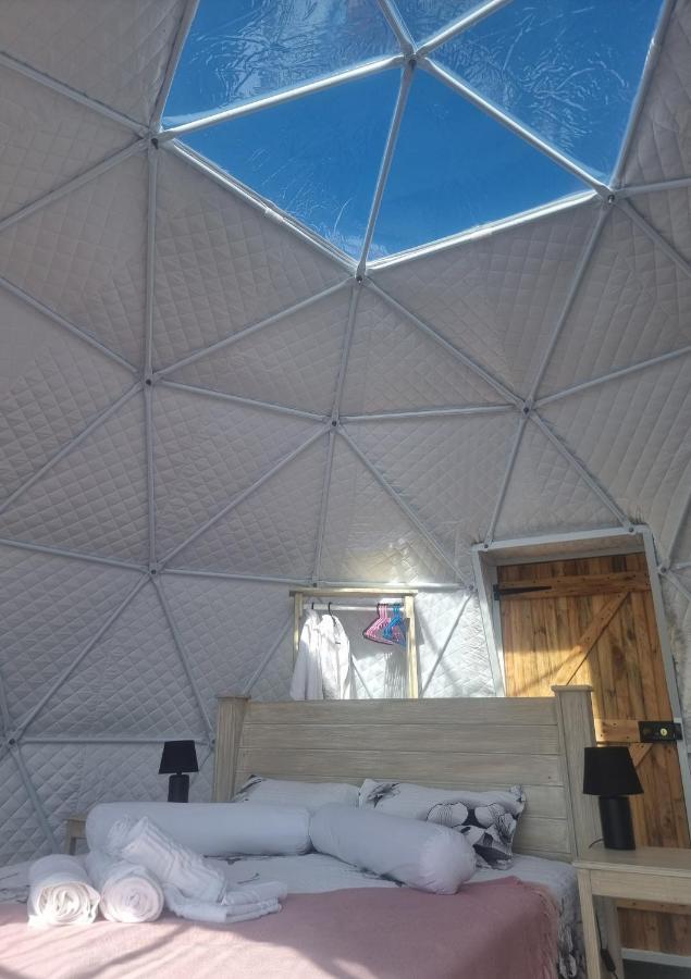 Hotel Pom Gratz - Ecodomes Hartebeesrivier Esterno foto
