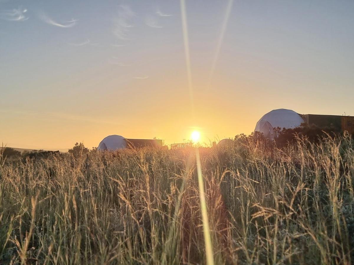 Hotel Pom Gratz - Ecodomes Hartebeesrivier Esterno foto