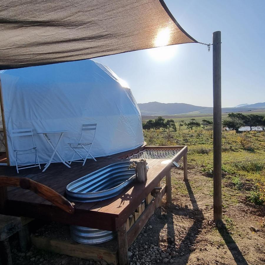 Hotel Pom Gratz - Ecodomes Hartebeesrivier Esterno foto